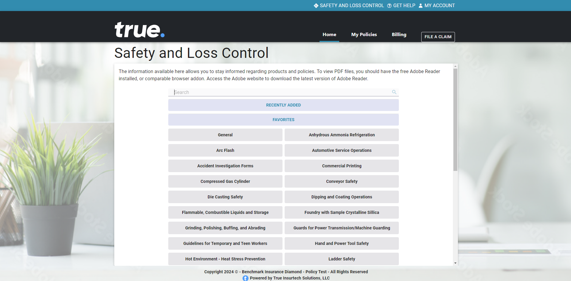 Portal Safety and Loss Control